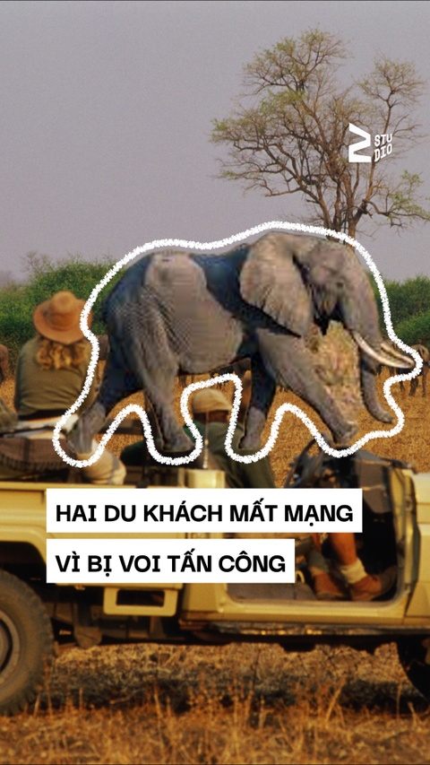 Hai du khách mất mạng vì bị voi tấn công
